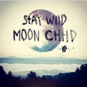 Meet your Posher, Sierra